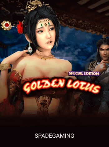 Video slot game cover featuring bonus rounds